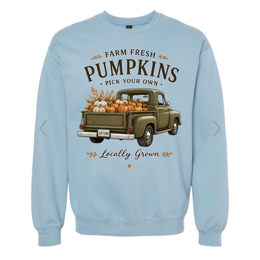 Pick your own Pumpkins