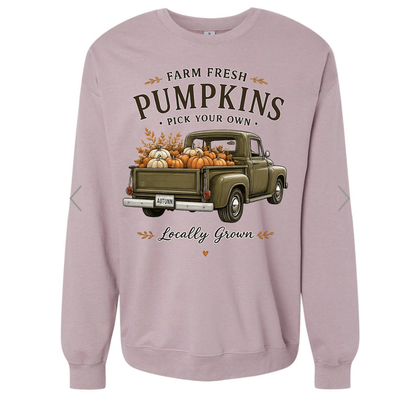 Pick your own Pumpkins