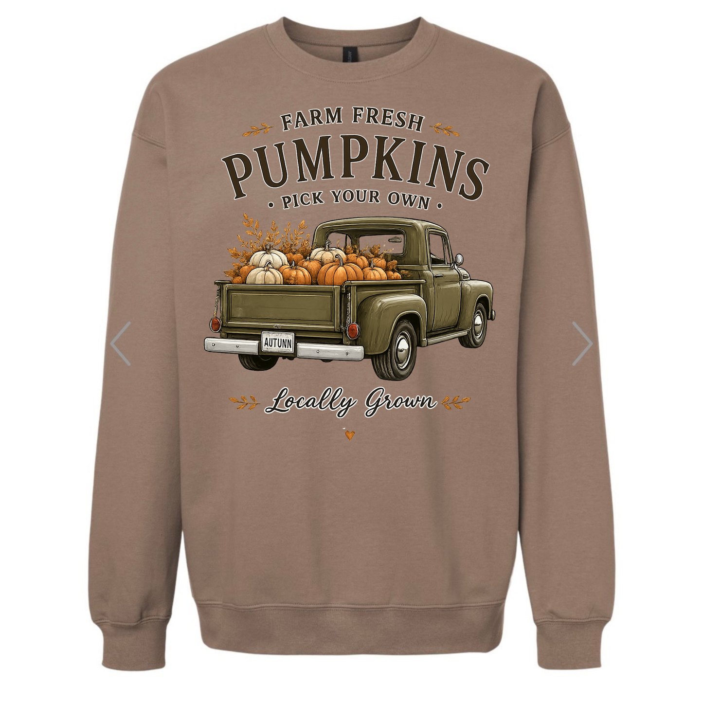 Pick your own Pumpkins