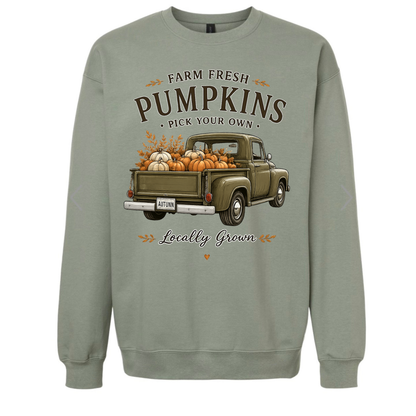 Pick your own Pumpkins