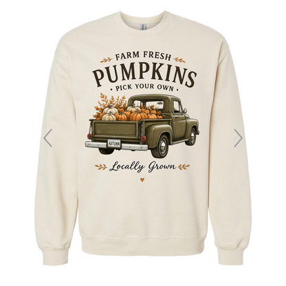 Pick your own Pumpkins